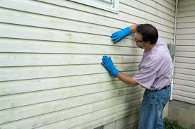 Best Vinyl Siding Installation  in Brookside, NJ